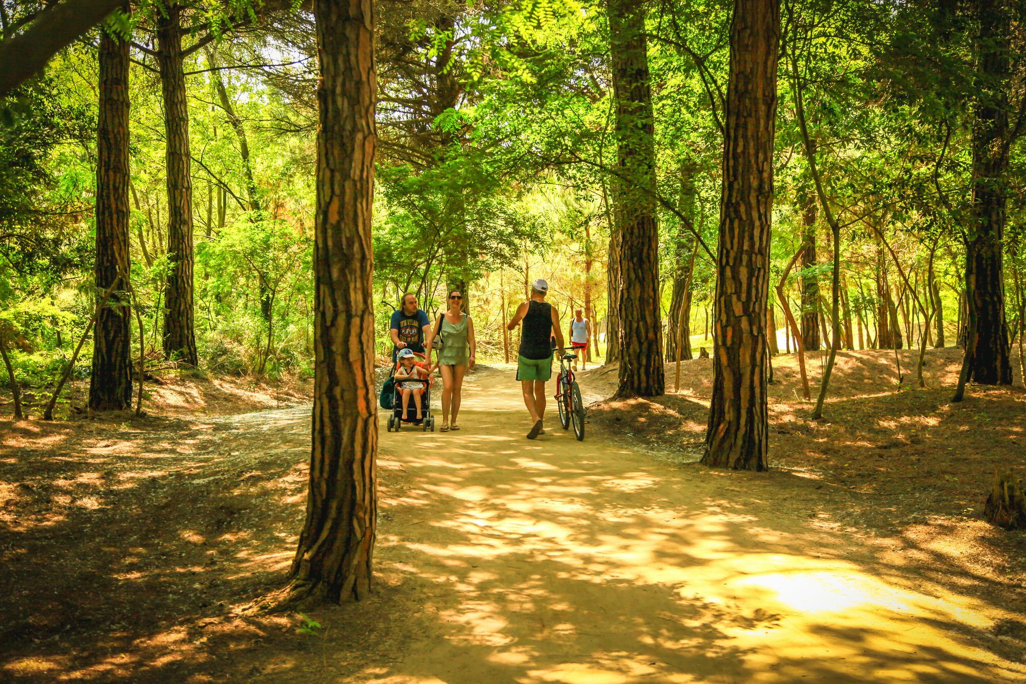 Camping Parco Capraro ลิโดดิเยโซโล ภายนอก รูปภาพ